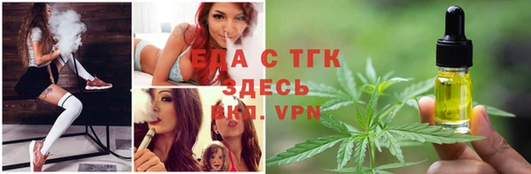 тгк Алзамай
