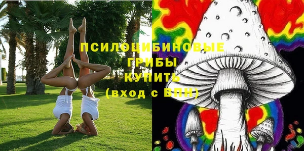 тгк Алзамай
