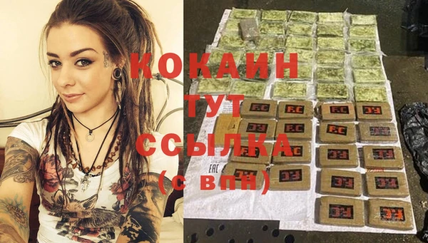 тгк Алзамай