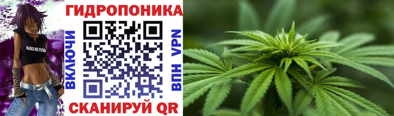Марихуана Bruce Banner  Мамоново 
